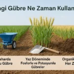 Hangi Gübre Ne Zaman Kullanılır