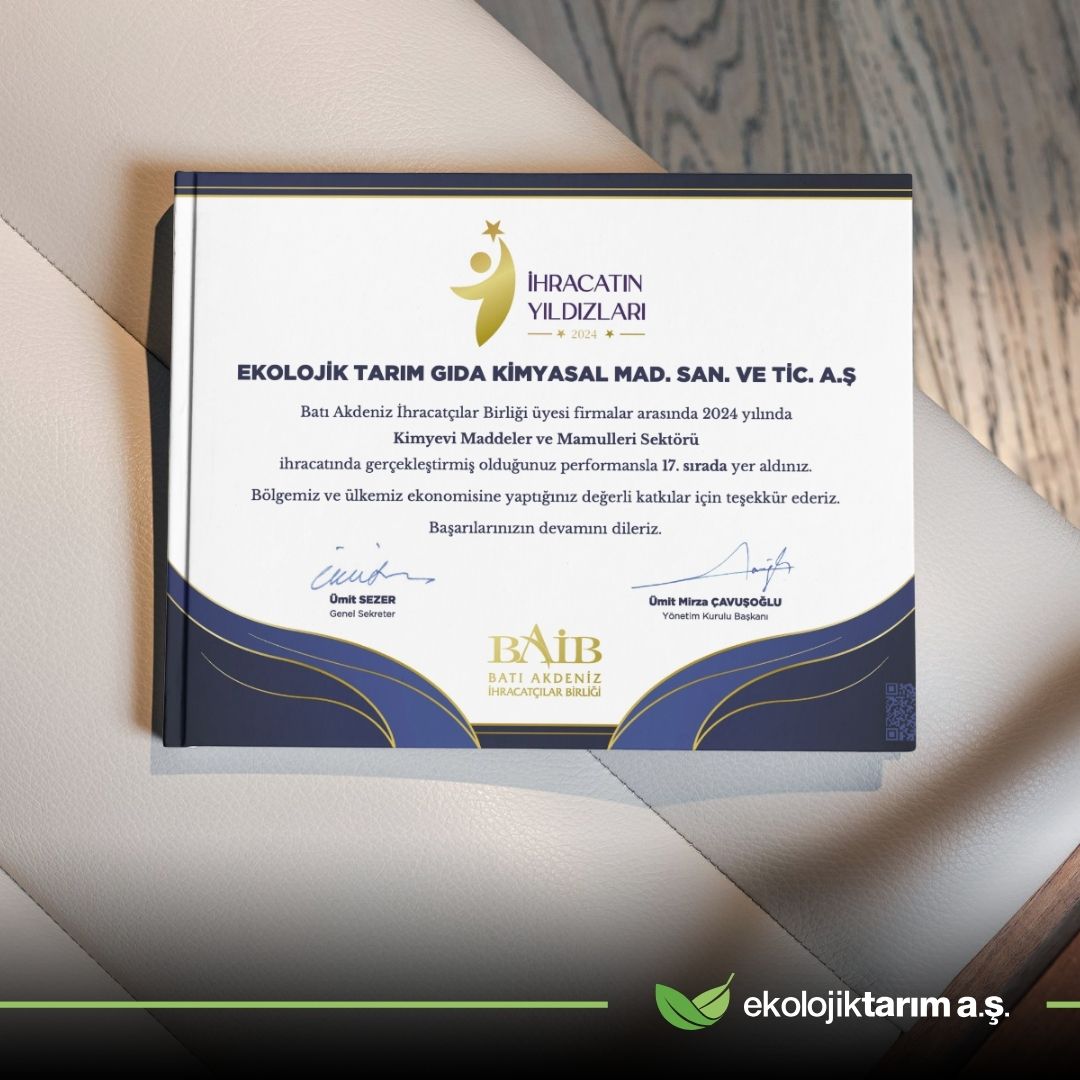 🌟 Our Export Success Has Been Recognized! 🌟