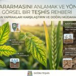 TOPRAK KALSİYUMLA DOLU. BİTKİLER HÂLÂ KALSİYUM AÇLIĞI ÇEKİYOR. NEDEN?