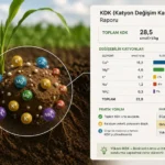 Katyon Değişim Kapasitesi (KDK) Raporunuzu Okumanın Pratik Yolu